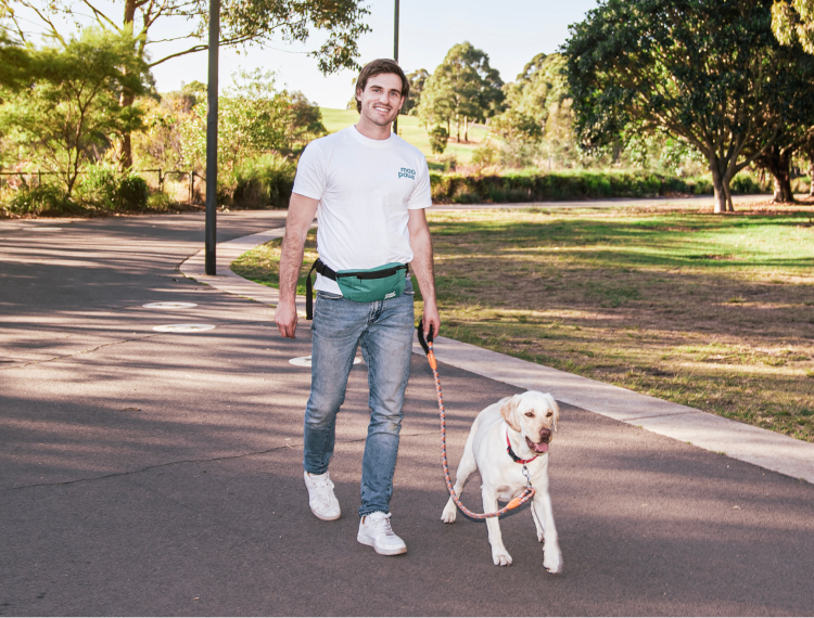 Picture of dog walker walking with two dogs