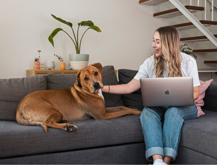 Pet Sitting & Jobs - Become a Pet Sitter | Mad Paws