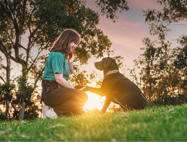 Picture of dog walker walking with two dogs