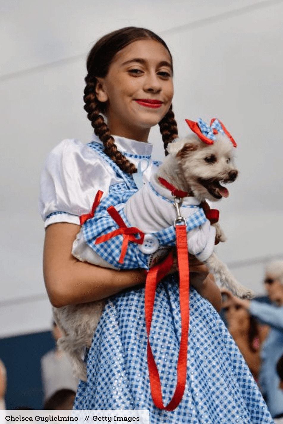 Dog costumes Halloween dorothy and toto