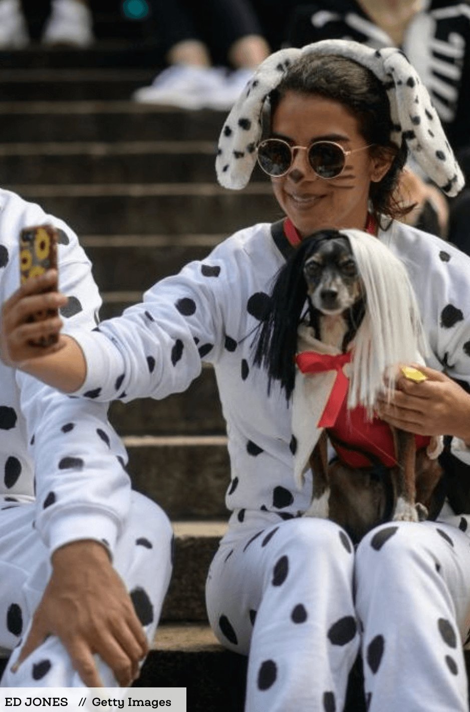 Dog costumes Halloween