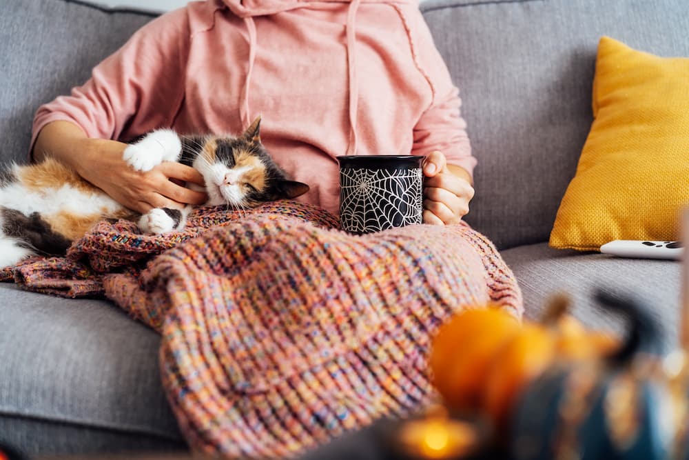 How to keep pets safe at Halloween