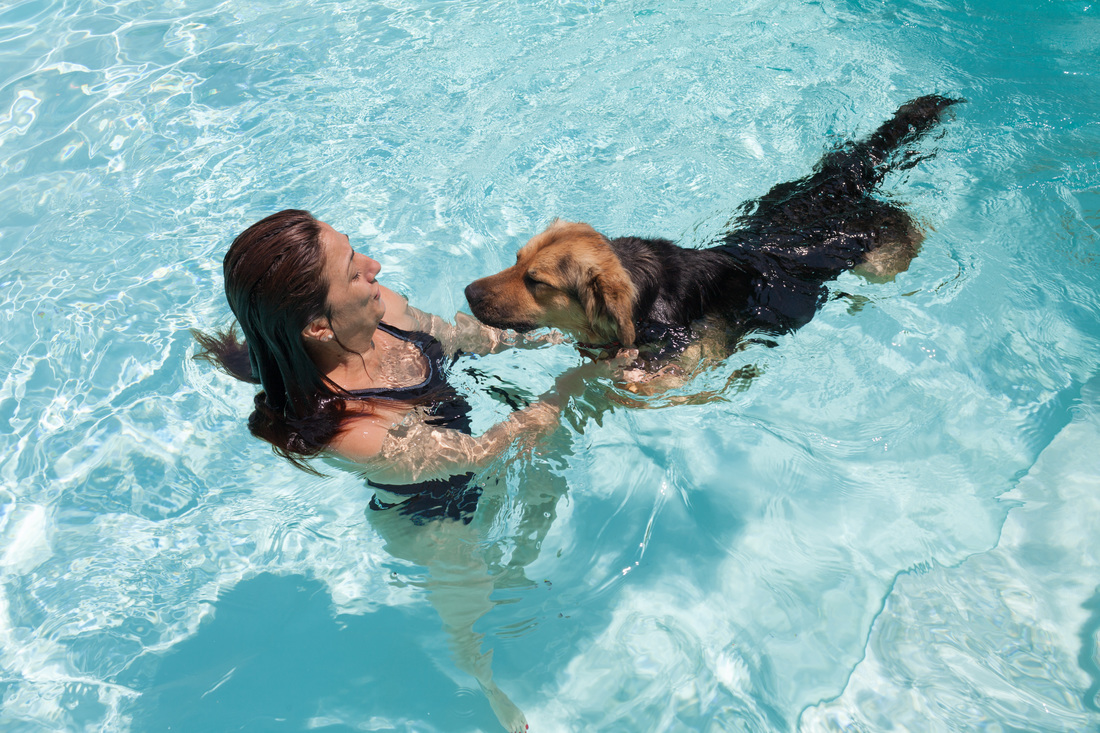 is it ok for my dog to swim in the pool