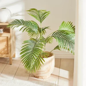 indoor plants not toxic to dogs - areca palm