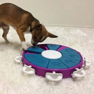 best interactive dog toys 2018