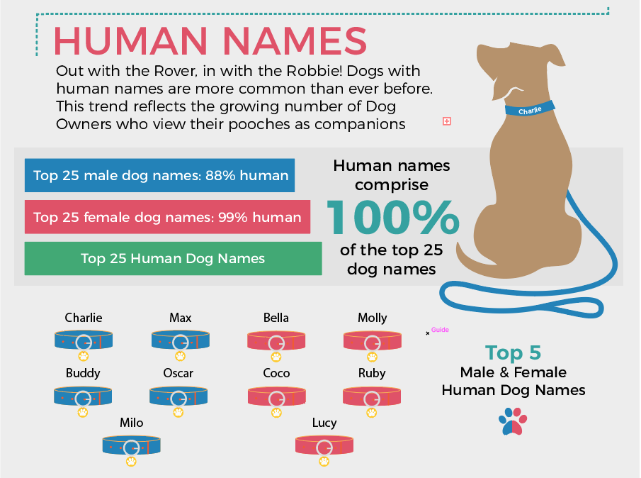 Dog names. Names for Dogs. Common Dog names. The Dogs names are. Popular male Dog name.