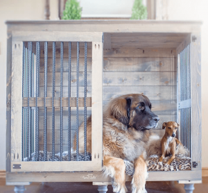 Crate Training: Good or Bad for Your 