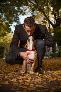 Does a Dog Have the Same Personality as Their Owner?