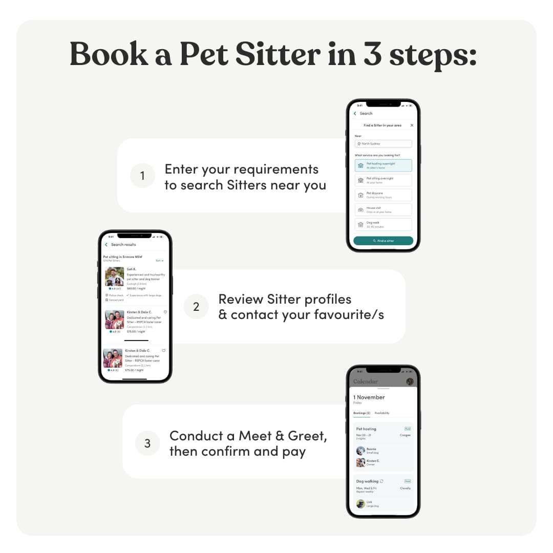 Outsource walking your dog in 3 simple steps!