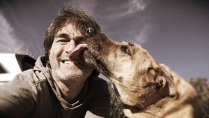 Should your dog lick your face?