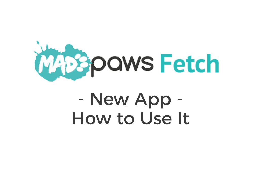 Mad Paws Fetch App | Mad Paws Blog