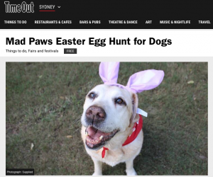 Easter Egg Hunt for Dogs Media Press