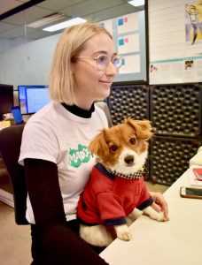 Take Your Dog to Work Day Dog at Desk