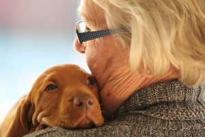 The Positive Effects of Pets on Seniors