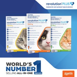 Revolution PLUS flea and tick treatment for cats