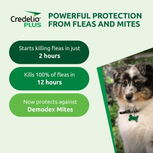 Credelio Plus provides powerful protection from fleas ticks worms and mites