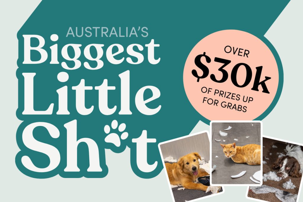 We're searching for Australia's Biggest Little Sh*t. Will your pet be naughtiest of them all, and crowned winner?