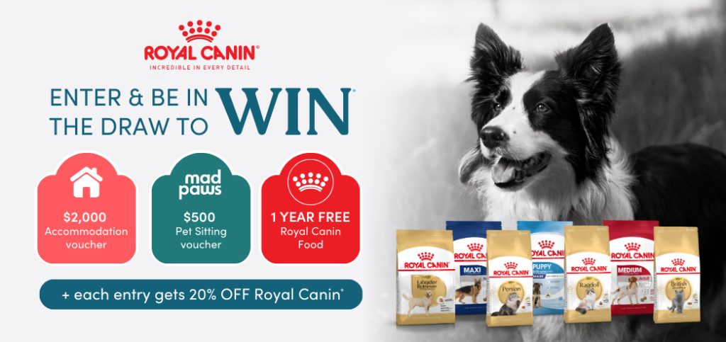 WIN a years supply of Royal Canin cat food for your Ragdoll seal point cat!