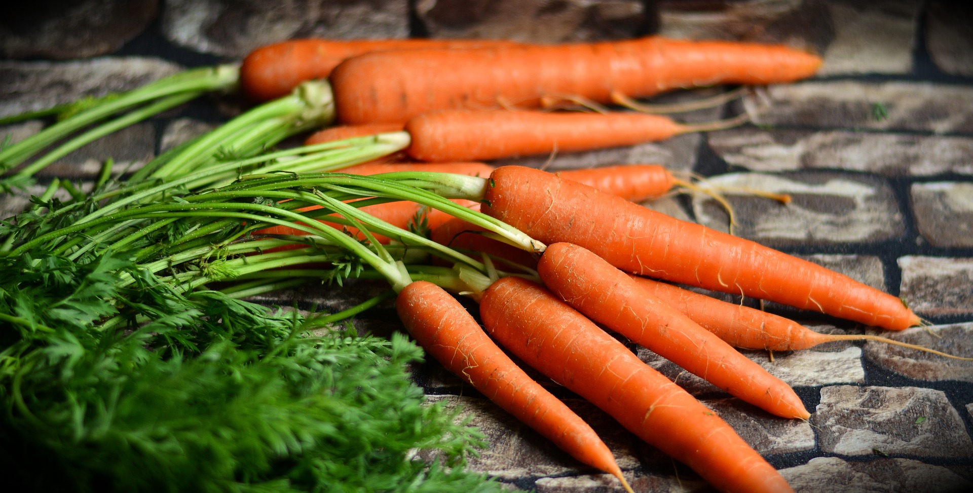 Are baby carrots good for outlet dogs