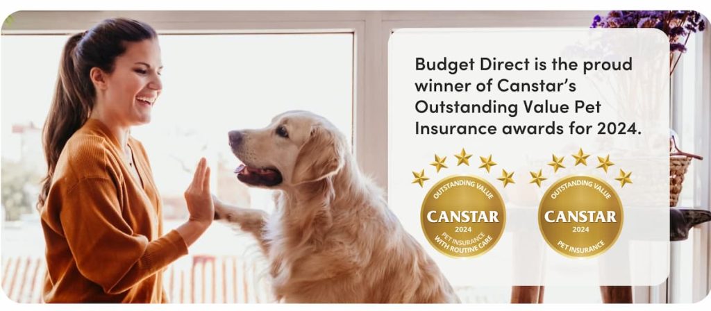 Budget Direct award-winning pet insurance