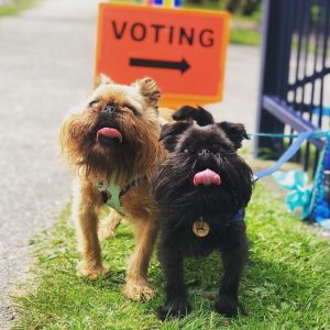 Digby Van Winkle and Aloysius Van Winkle