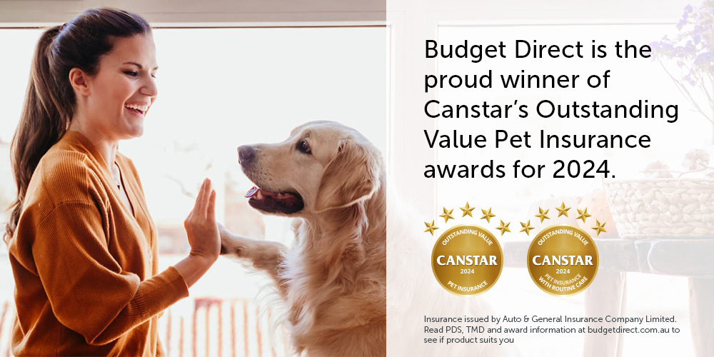 Budget Direct award-winning pet insurance