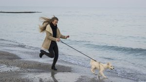 Socially-Distanced Activities You Can Do with Your Dog