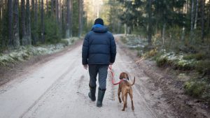 Dog Camping