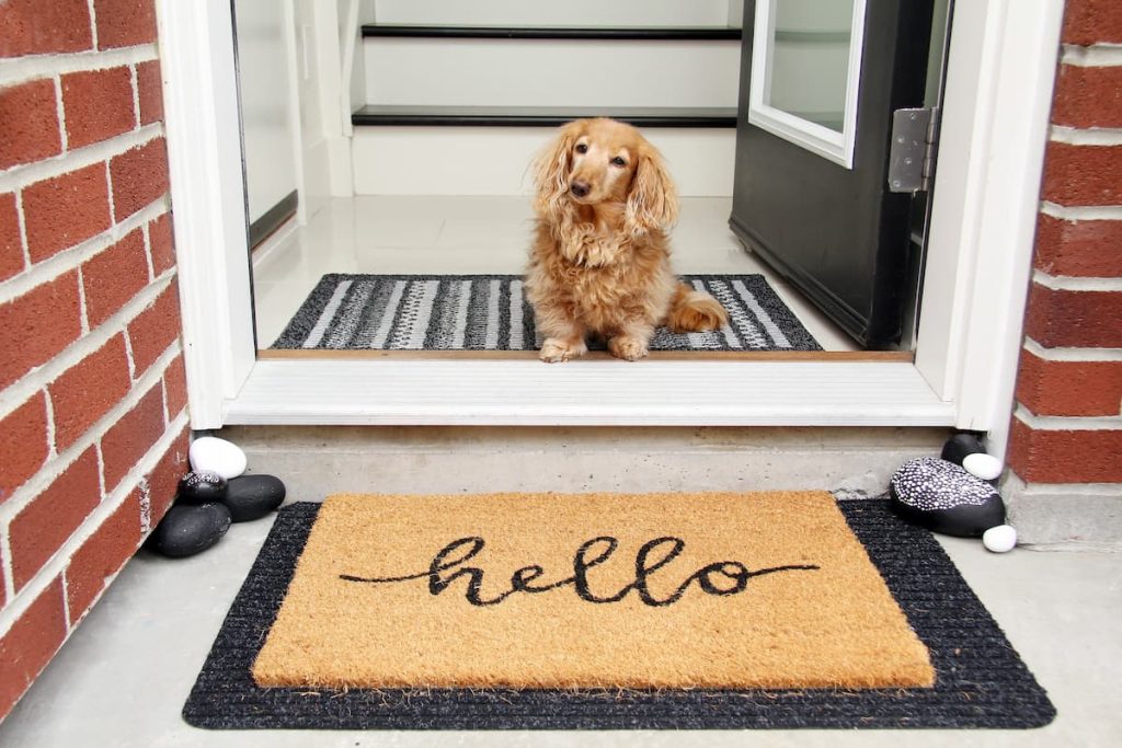 Does your dog bark when someone's at the front door or rings the doorbell?