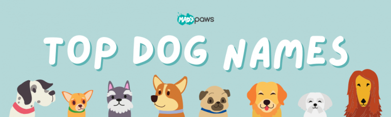 Top Dog Names and Most Popular Breeds | Mad Paws