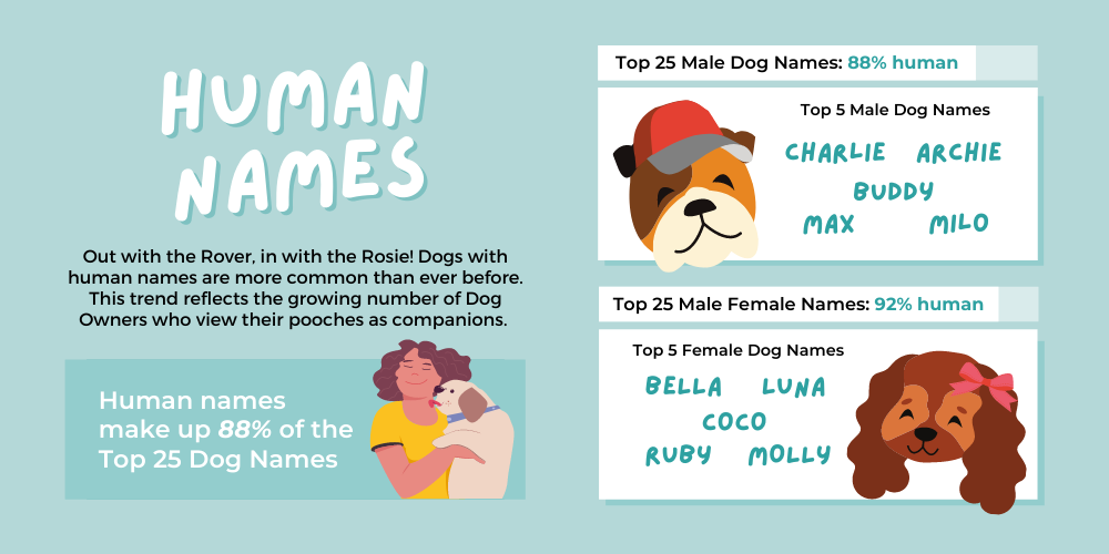 Top Dog Names and Most Popular Breeds | Mad Paws