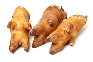 Are Pig Trotters Good for Dogs Dog Nutrition Mad Paws Blog