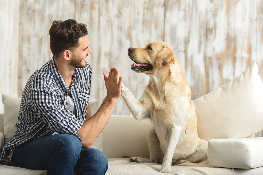 how do dogs interact with humans