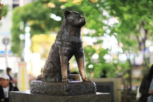 Hachiko