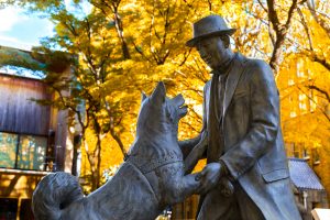 Hachiko with Owner