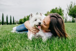 How Much Time Should Dogs Spend with Their Owners?
