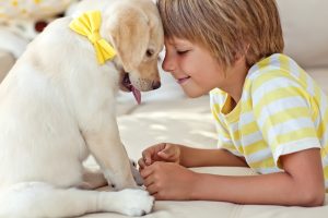 Labrador with Child