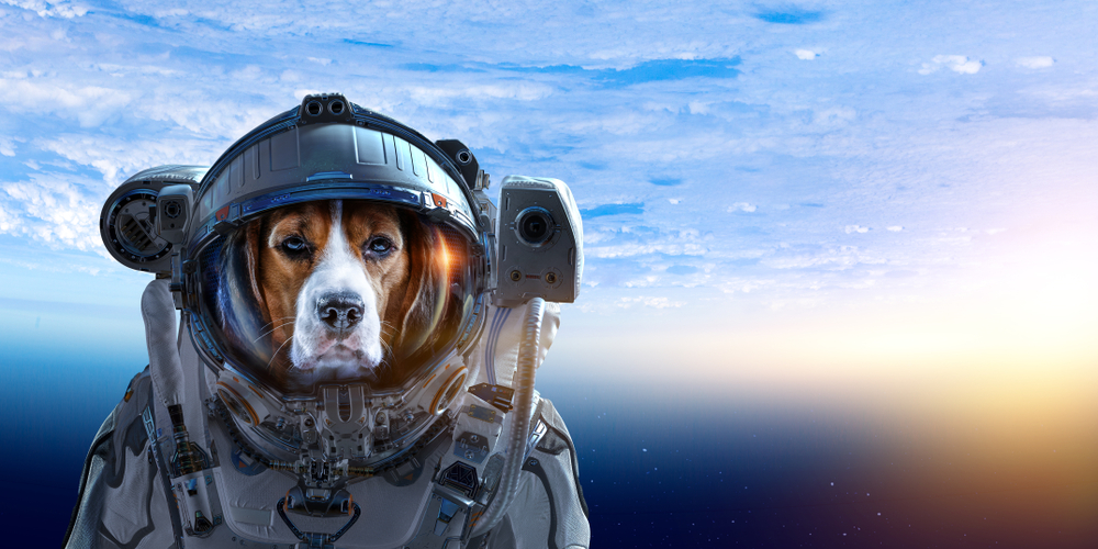 dogs on the moon in space suit