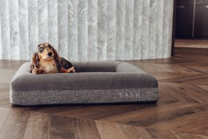 calming dog beds do they work