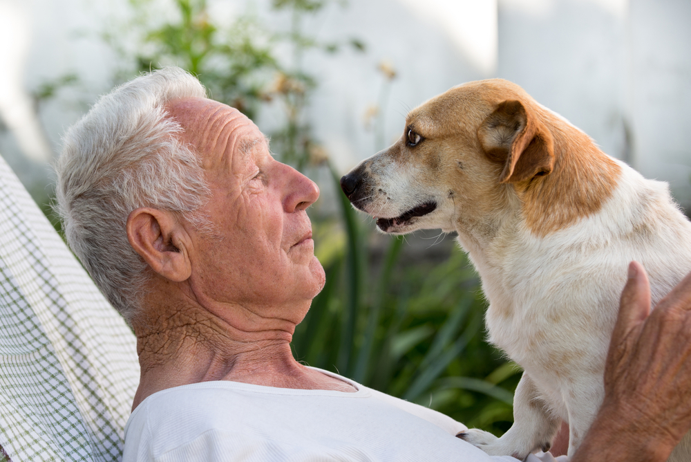 can dogs read facial expressions?