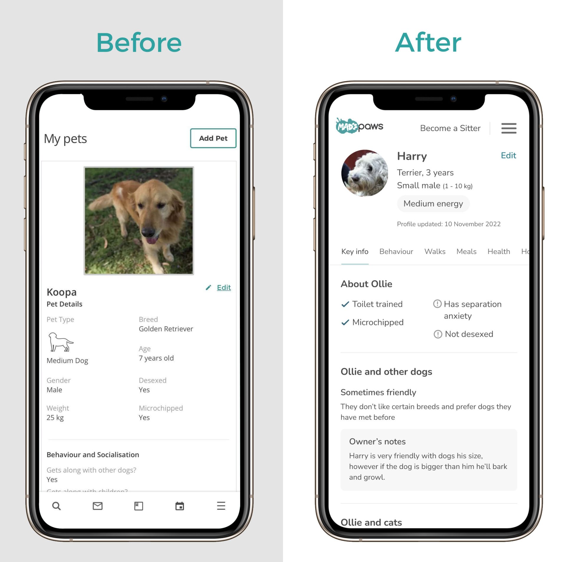 Complete your Pets Profile for best Pet Sitter care | Mad Paws