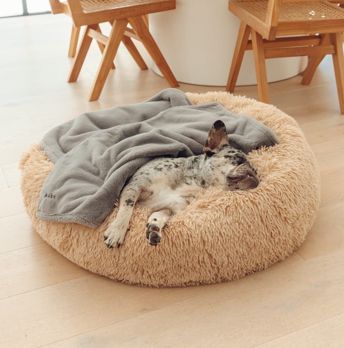 How a Calming Dog Bed Works