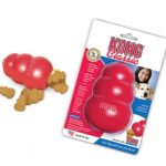 enrichment toys for dogs