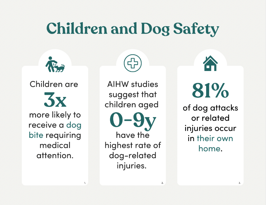 Children and safety with dogs