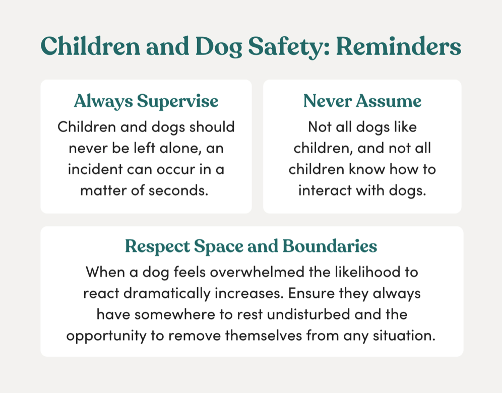 Children and dogs safety tips