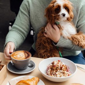 dog friendly cafes near me
