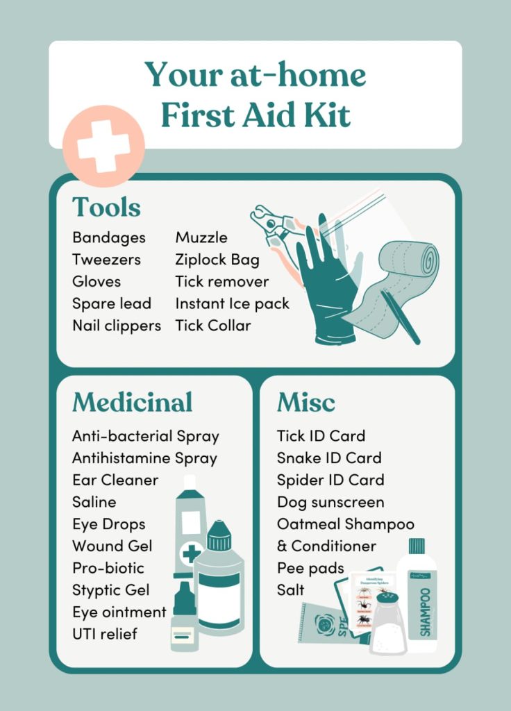 How to build a Pet First Aid Kit