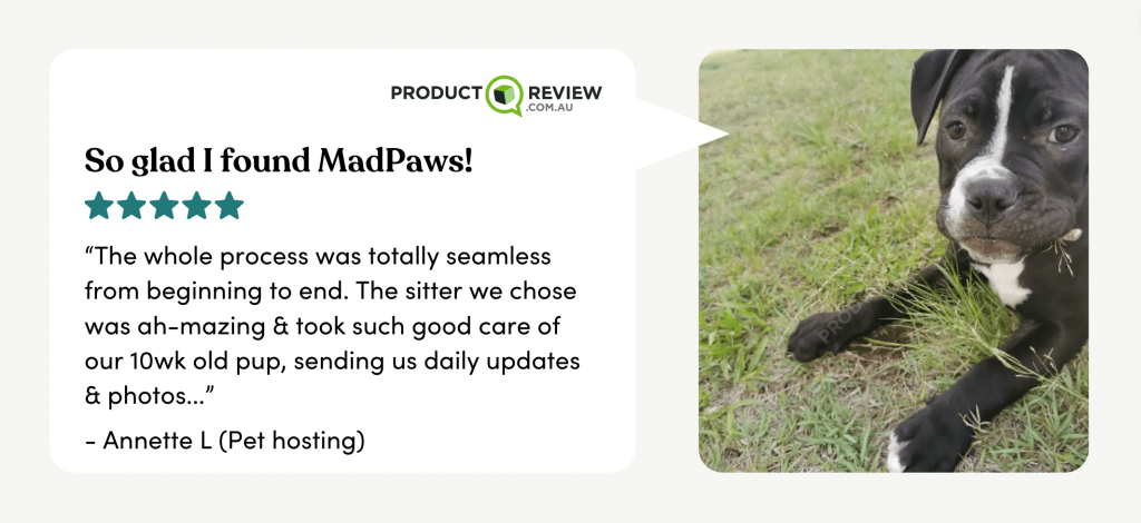 Check out this 5-star review of our trusted aussie pet sitters