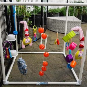 Klever Cages make these great pet boxing activities - perfect for pet olympics!