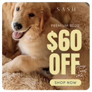 dog bed sale now on at SASH Beds